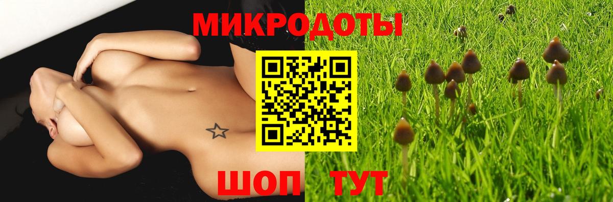 Псилоцибиновые грибы прущие грибы Москва