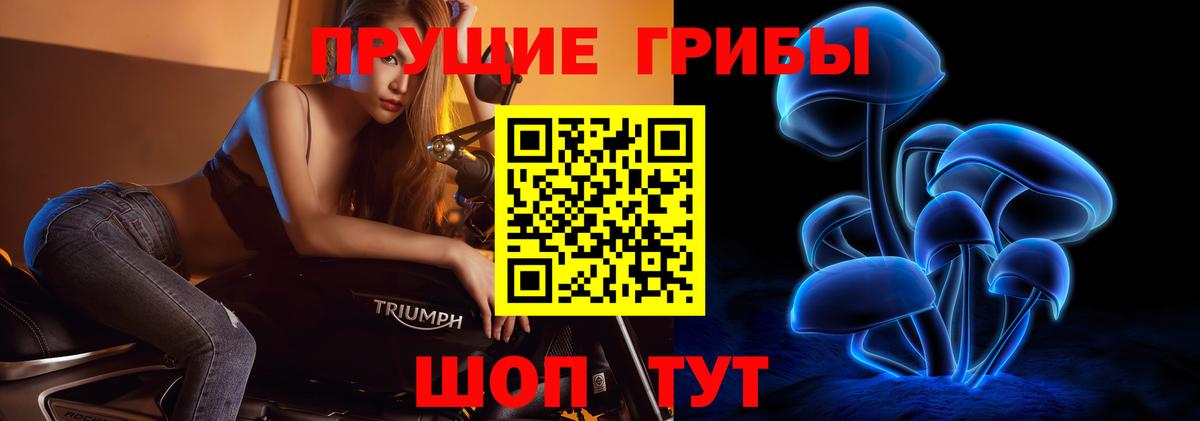 Галлюциногенные грибы Psilocybine cubensis  Вход с VPN  Москва 